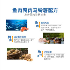 宠物生活