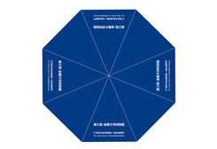 促销礼品广告伞-南工院金蝶大学科技园礼品